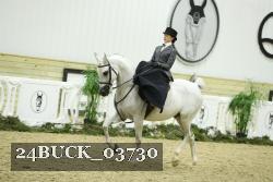 24BUCK_03730 thumbnail