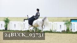 24BUCK_03731 thumbnail