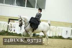 24BUCK_03732 thumbnail