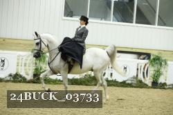 24BUCK_03733 thumbnail