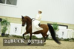 24BUCK_03734 thumbnail