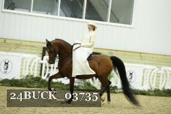 24BUCK_03735 thumbnail
