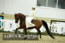 24BUCK_03736 thumbnail