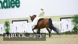 24BUCK_03737 thumbnail