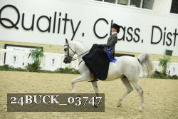 24BUCK_03747 thumbnail