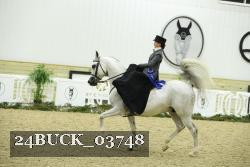 24BUCK_03748 thumbnail