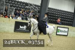 24BUCK_03754 thumbnail