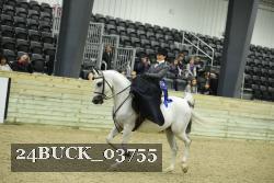 24BUCK_03755 thumbnail