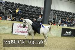 24BUCK_03756 thumbnail