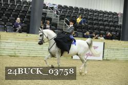 24BUCK_03758 thumbnail