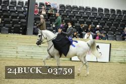 24BUCK_03759 thumbnail