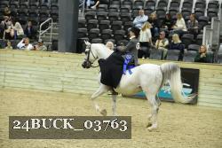 24BUCK_03763 thumbnail