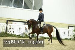 24BUCK_03769 thumbnail