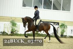 24BUCK_03770 thumbnail