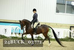 24BUCK_03771 thumbnail