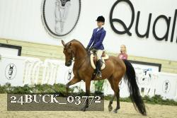 24BUCK_03772 thumbnail