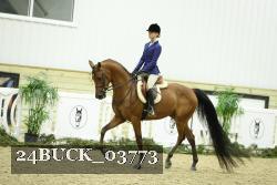 24BUCK_03773 thumbnail