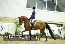 24BUCK_03774 thumbnail