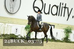 24BUCK_03775 thumbnail