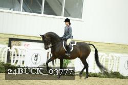 24BUCK_03777 thumbnail
