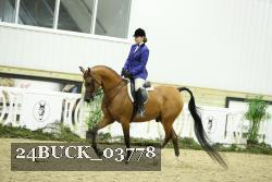 24BUCK_03778 thumbnail