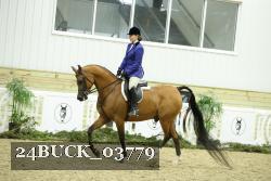 24BUCK_03779 thumbnail