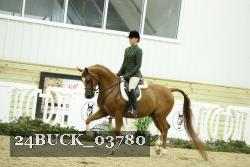 24BUCK_03780 thumbnail