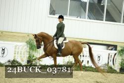 24BUCK_03781 thumbnail