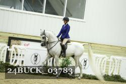 24BUCK_03783 thumbnail