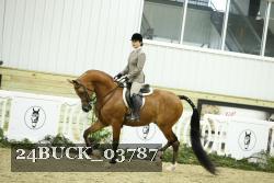 24BUCK_03787 thumbnail