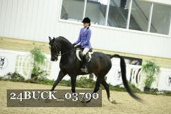 24BUCK_03790 thumbnail