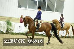 24BUCK_03816 thumbnail