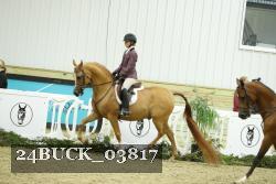 24BUCK_03817 thumbnail
