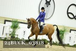 24BUCK_03818 thumbnail