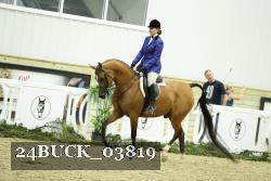 24BUCK_03819 thumbnail