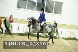 24BUCK_03820 thumbnail