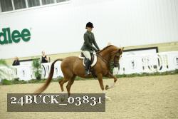 24BUCK_03831 thumbnail