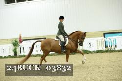 24BUCK_03832 thumbnail
