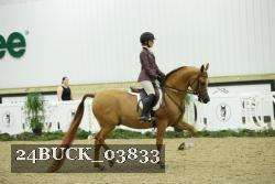24BUCK_03833 thumbnail
