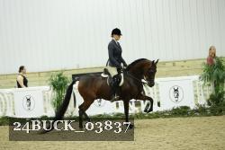 24BUCK_03837 thumbnail