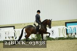 24BUCK_03838 thumbnail