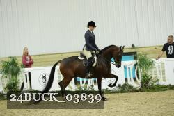 24BUCK_03839 thumbnail