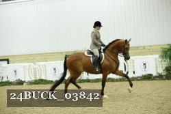 24BUCK_03842 thumbnail