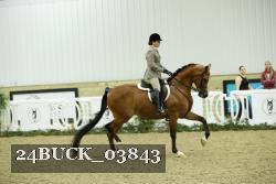 24BUCK_03843 thumbnail