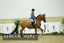 24BUCK_03847 thumbnail
