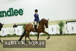 24BUCK_03849 thumbnail