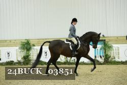 24BUCK_03851 thumbnail