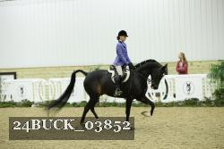 24BUCK_03852 thumbnail
