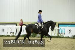 24BUCK_03853 thumbnail
