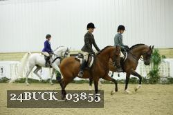 24BUCK_03855 thumbnail